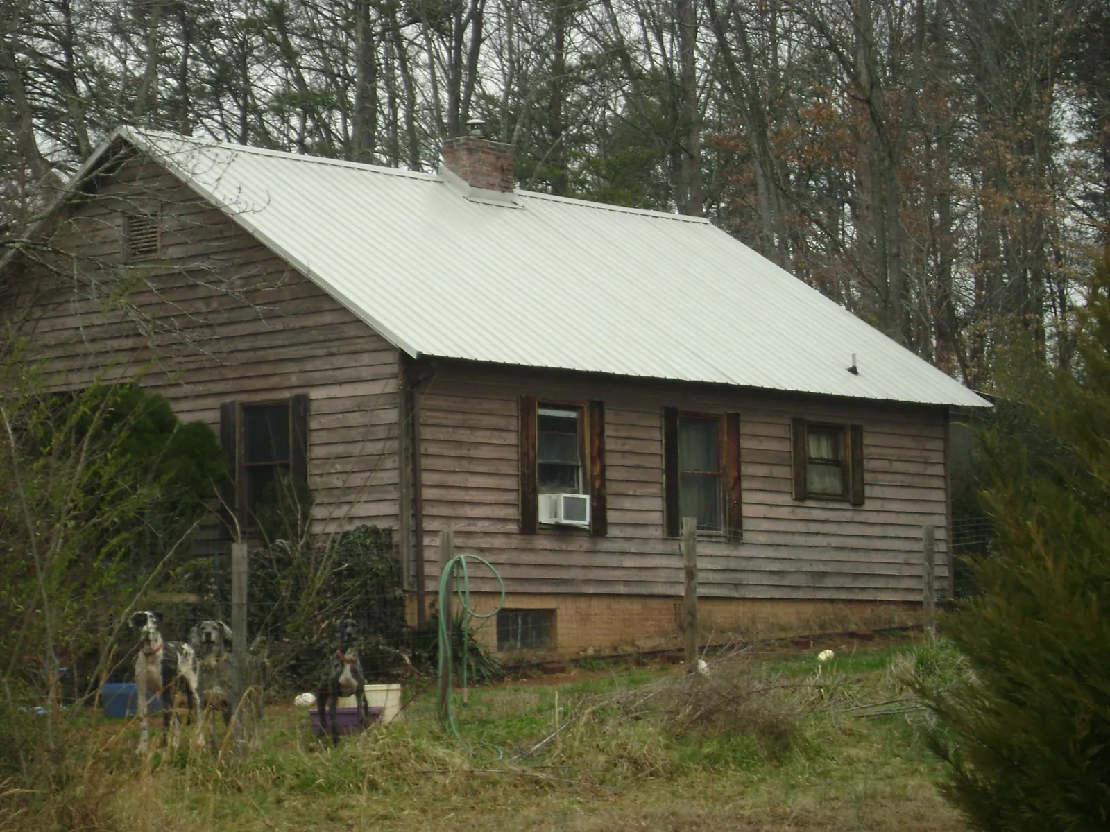 White metal roof on an old wood sided farmhouse, from a Metal Roof Installation job in Oak Harbor